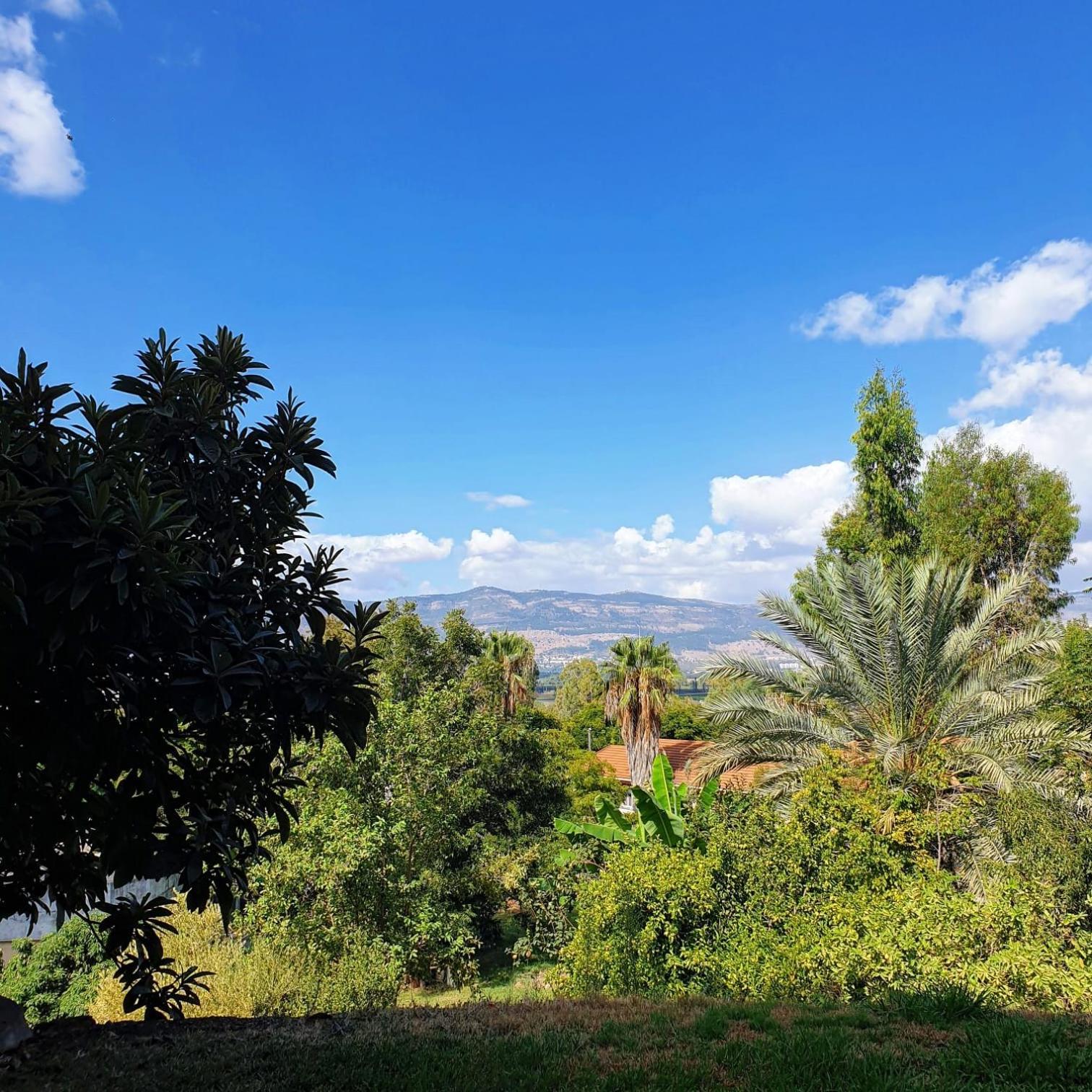 צימר בודד בגליל העליון Kefar Szold Eksteriør bilde
